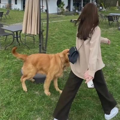 大家族粤语
